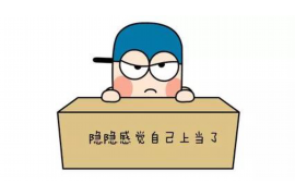 大宁债务清欠服务